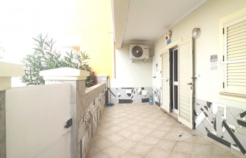 1 T1 OASIS _2025 06 10 VERANDA-PANO_091716