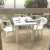 1T1 OASIS _2025 06 10 VERANDA_093422