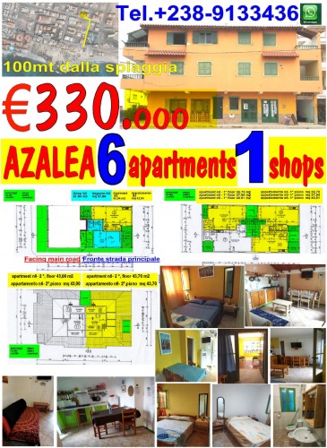 EN 330 2025 杜鹃花 B&B santa maria Sal CABOVERDEVACANZE.COM  capoverdevacanze.com